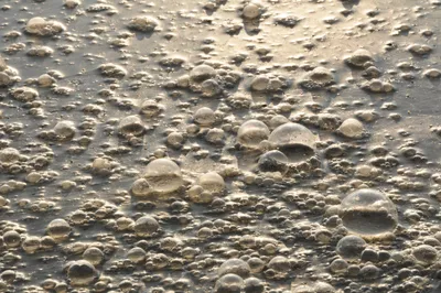 Грязная вода в микрорайоне южной столицы: ситуацию прокомментировали в  \"Алматы су\" - 14.10.2021, Sputnik Казахстан