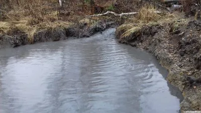 В Вологде самая грязная вода во всей области | ВОП.РУ