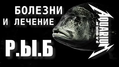 Грибковые инфекции у аквариумных рыб: Как предотвратить и лечить. |  Аквариум в бутылке | Акваскейпинг | Дзен