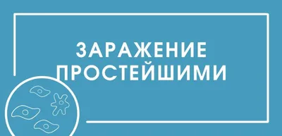 Грибковые и бактериальные заболевания аквариумных рыбок - презентация онлайн