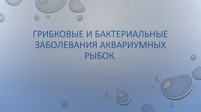 Грибковые и бактериальные заболевания аквариумных рыбок - презентация онлайн