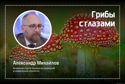 Торик заболел. Его кто-то укусил за лапу и он разлизал ее себе до крови..  пошла аллергия и отек на глаза. Врач говорит,что может и грибок..… |  Instagram