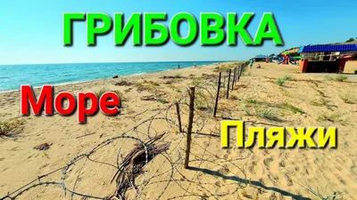 Отдых в Одесской области 2021: грязное море и много туристов. Видео