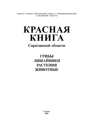 грибы 28.09.2022 Саратовская область - YouTube