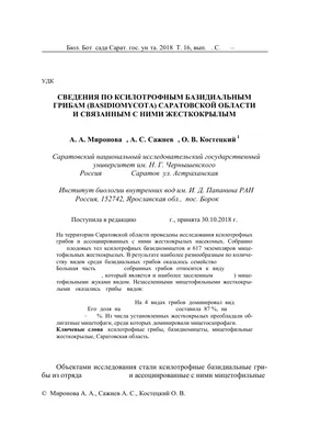 Смертельно ядовитые грибы Саратовской области | tursar.ru | Дзен