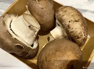 Шампиньон лесной, гриб колпак или благушка (Agaricus silvaticus): фото,  описание, как отличить от ложных двойников и как готовить