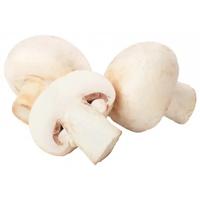 Шампиньон перелесковый - Agaricus silvicola - Грибы Уломы Железной