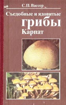 Дикорастущие плоды ягоды грибы Каталог – на сайте для коллекционеров  VIOLITY | Купить в Украине: Киеве, Харькове, Львове, Одессе, Житомире