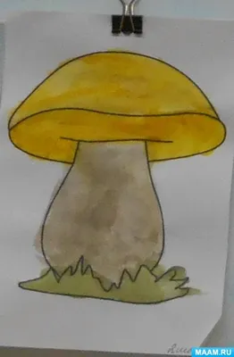 Какие съедобные грибы растут зимой в лесу? – DW – 01.02.2020