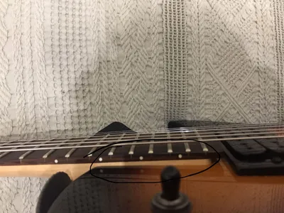 24 лада сменный кленовый гриф из палисандра для гитары черный - купить с  доставкой по выгодным ценам в интернет-магазине OZON (835418811)