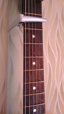🎸 Наклейка на гриф гитары \"Seven\" Guitar Sticker, белый перламутр - купить  онлайн с доставкой, низкая цена | Магазин гитарных струн и аксессуаров  Strunki.ru