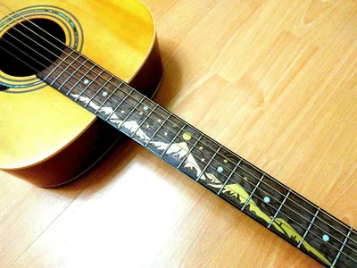 Alicante Titanium WR Акустическая гитара с широким грифом (48 мм) купить  недорого, цена в Москве