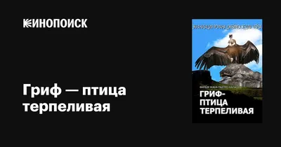 Гриф - птица терпеливая | Дзен