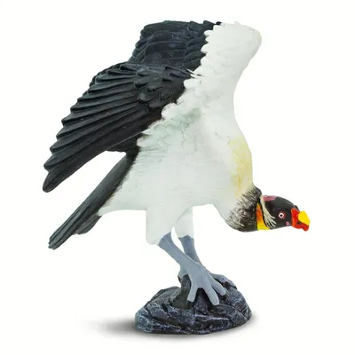 Мультфильм гриф птица 3D Модель $39 - .c4d .fbx .obj - Free3D
