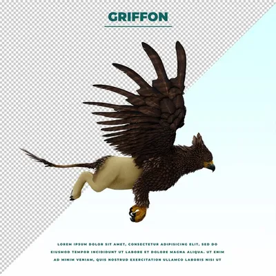 Гриффин птица - красивые фото