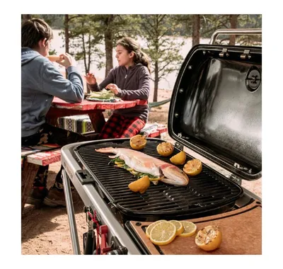 Гриль газовый Weber Traveler, чёрный купить в Ростове-на-Дону -  интернет-магазин JustGrill