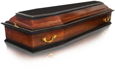 Гроб лаковый саркофаг Американец