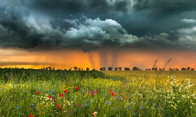 Фотограф Alexey, : Грозовое небо