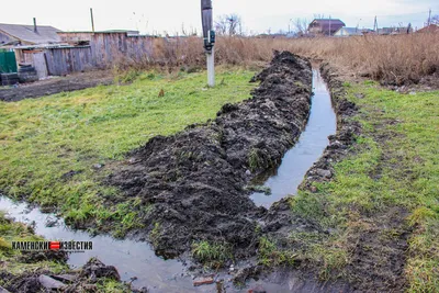 Грунтовые воды подтопили дома в бурятском поселке - РИА Новости, 28.08.2021
