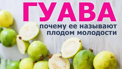 Гуава - купить в Тюмени с доставкой на дом или офис