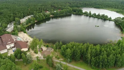 Гостиница Гуси-лебеди, Ногинск, Санаторная улица, 7 — цена, фото, отзывы и  адрес отеля | забронировать на Отелло