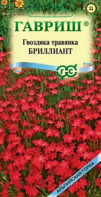 ✓ Семена Гвоздика травянка Бриллиант, 0,05г, Гавриш, Альпийская горка по  цене 30 руб. ◈ Большой выбор ◈ Купить по всей России ✓ Интернет-магазин  Гавриш ☎ 8-495-902-77-18