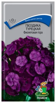 Семена гвоздика Поиск Фиолетовая гора 202962 1 уп. - отзывы покупателей на  Мегамаркет