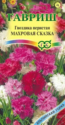 ✓ Семена Гвоздика перистая Балатон, смесь, 0,1г, Удачные семена по цене  8,80 руб. ◈ Большой выбор ◈ Купить по всей России ✓ Интернет-магазин Гавриш  ☎ 8-495-902-77-18