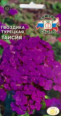 Гвоздика Наденька (семена,цветы) купить по цене 49 ₽ в интернет-магазине  KazanExpress