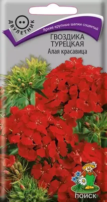 Семена Цв Гвоздика Китайская махровая смесь 1г РО в Москве: цены, фото,  отзывы - купить в интернет-магазине Порядок.ру