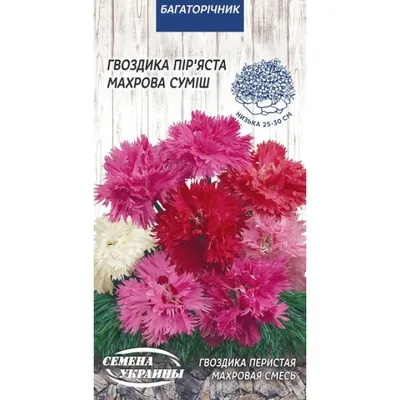 Семена цветов Гвоздика турецкая Белая Королева для сада Семена Алтая  54668377 купить за 134 ₽ в интернет-магазине Wildberries