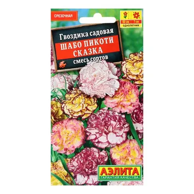 Гвоздика Махровая (семена, цветы) купить по цене 59 ₽ в интернет-магазине  KazanExpress
