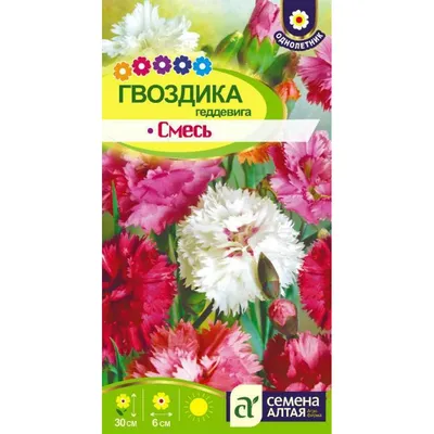 Купить Семена - Гвоздика перистая Махровая смесь, 0,2 г. ❱❱ Колибри-маркет  ❰❰❰