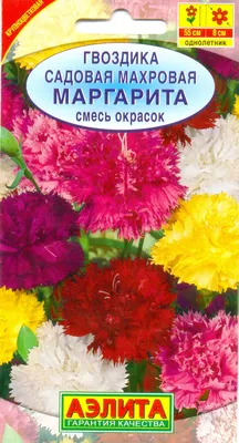 Семена гвоздика Аэлита Маргарита 102167 1 уп. - купить в Москве, цены на  Мегамаркет