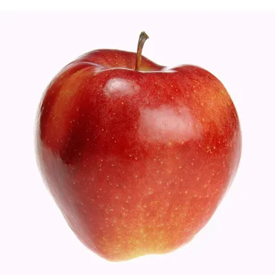 Купить яблоки Глостер, цены в Москве на Мегамаркет | Артикул: 100039744849