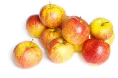 Купить яблоки Глостер 65+, цены в Москве на Мегамаркет | Артикул:  100039285654
