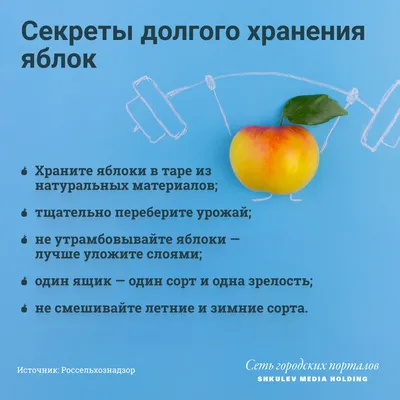 Яблоня \"Джеромини\" купить в питомнике растений с доставкой по Самаре и  Самарской области, саженцы, выращивание, посадка и уход