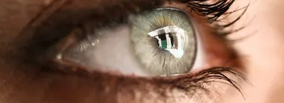 Капли для глаз Лекко ФФ Левомицетин - «Левомицетин отлично помогает от  ячменя. + Фото до и после использования Левомицетина.» | отзывы