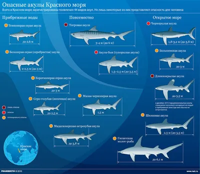 Рыбы красного моря: описание с названиями и фото, ядовитые