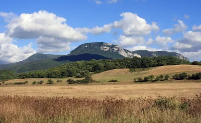 В Крыму проснулись ядовитые змеи и пауки - KP.RU