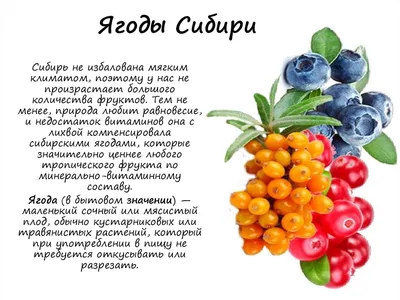 Фиточай «Ягода Сибири» Черная смородина · 30гр. · Aveo — купить за 115 руб  · Лавка знахаря