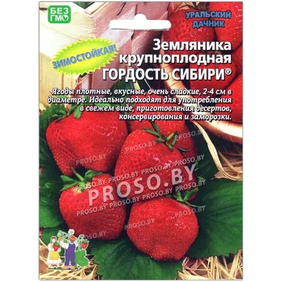 Земляника крупноплодная Гордость сибири \"Уральский дачник\" - купить семена  в интернет-магазине с доставкой