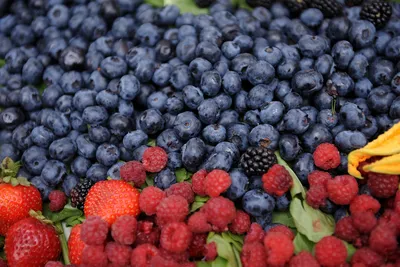 macro #macrophotography #macrophoto #photography #snow #forest #berries  #berry #ягода #ягоды #лес... в 2023 г | Ягоды, Лес