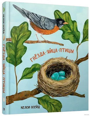 Хрупкий мир: яйца и гнёзда птиц - Красноярский краевой краеведческий музей