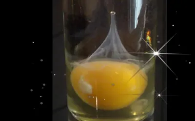 Яйцо в стакане с водой на ночь расшифровка фото 68 фото