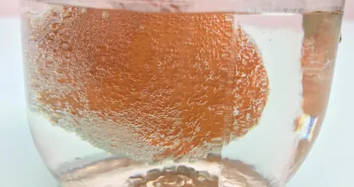 Невероятный научный эксперимент с яйцом и уксусом (Видео) - Телеграф