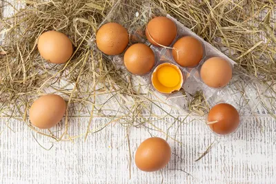 Красим яйца на Пасху: пять простых и натуральных способов - 7Дней.ру