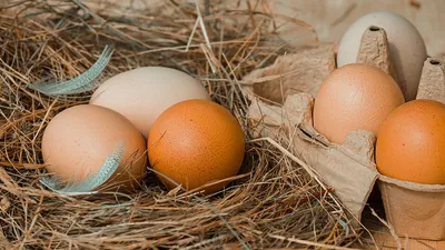 Как красиво покрасить яйца на Пасху: с красителями и без в домашних условиях