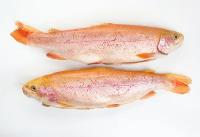 Янтарная рыбка | Пикабу