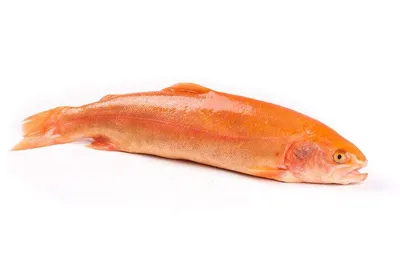 Янтарная с перцем | Компания «Magnit Fish»